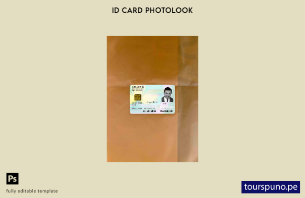 listo para imprimir plantilla FRONTAL de aspecto fotográfico de identificación 9